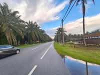 For Sale - Langkap