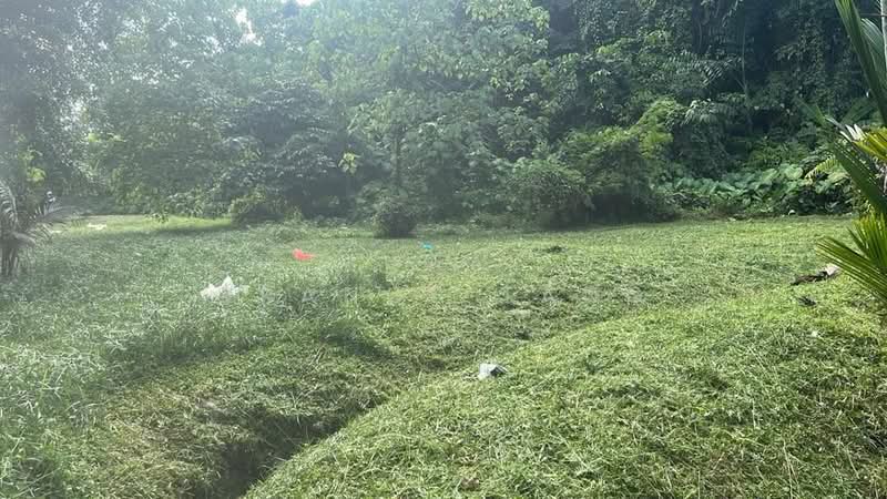 Tanah Pertanian untuk Dijual di Taman Seputeh (Seputeh) - Orange Tang - Garden - PropertyGuru.com.my