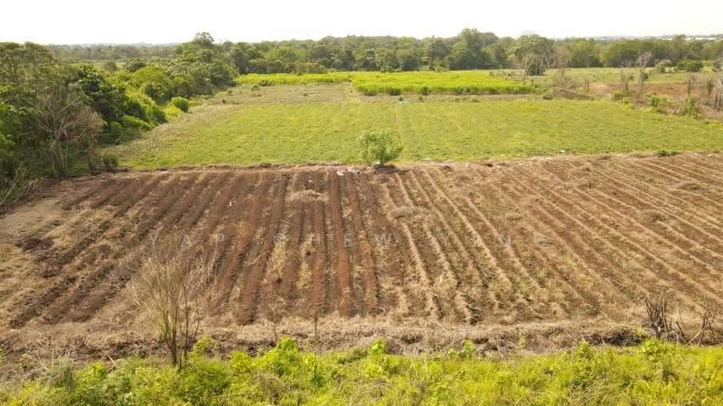 Agricultural Land for Sale in Jugra (Banting) - Yap Chew Ying - PropertyGuru.com.my