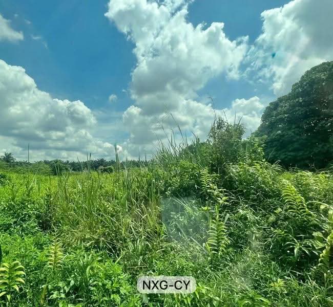 Agricultural Land for Sale in Jugra (Banting) - Yap Chew Ying - PropertyGuru.com.my