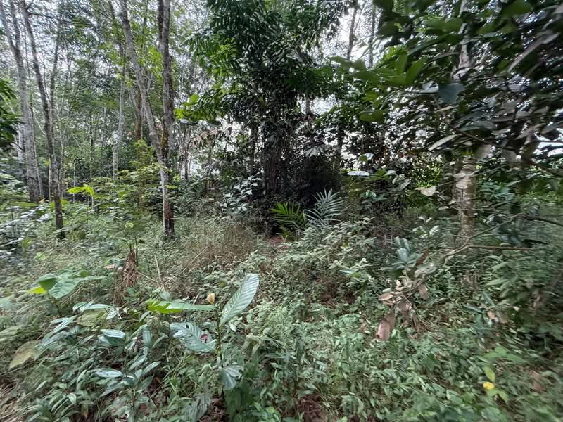 Tanah Pertanian untuk Dijual di Sungai Tiram (Ulu Tiram) - Ashley Goh - PropertyGuru.com.my