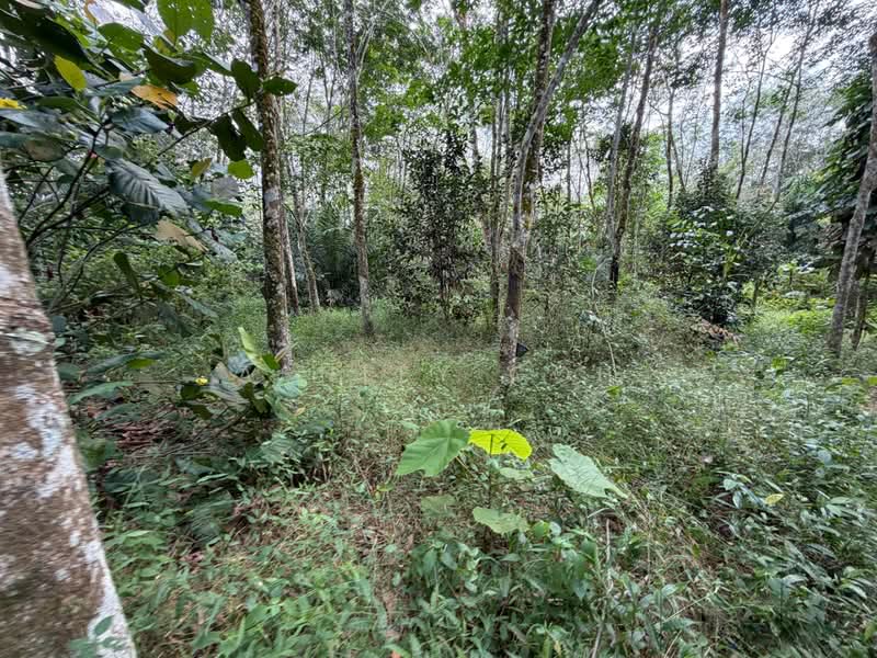 Tanah Pertanian untuk Dijual di Sungai Tiram (Ulu Tiram) - Ashley Goh - PropertyGuru.com.my