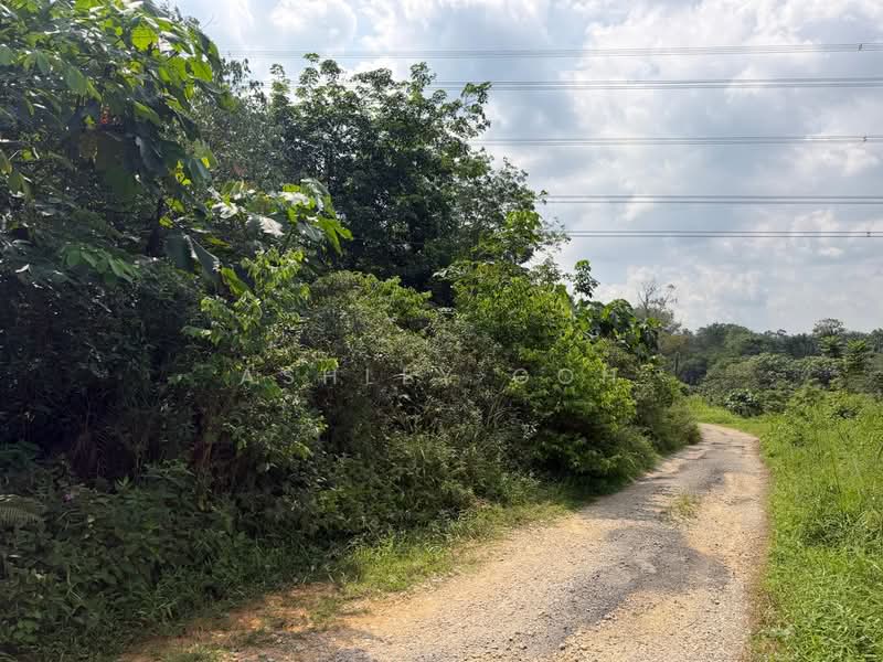 Tanah Pertanian untuk Dijual di Sungai Tiram (Ulu Tiram) - Ashley Goh - PropertyGuru.com.my