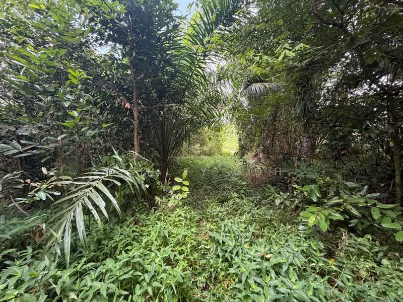 Tanah Pertanian untuk Dijual di Sungai Tiram (Ulu Tiram) - Ashley Goh - PropertyGuru.com.my