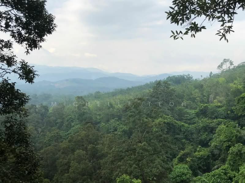 Agricultural Land for Sale in Mantin (Negeri Sembilan) - Michelle Teoh - View - PropertyGuru.com.my