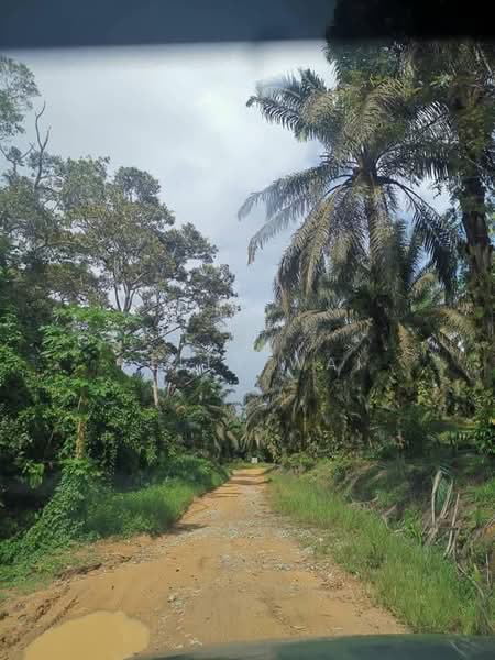 Tanah Pertanian untuk Dijual di Kota Tinggi (Johor) - Kelly Wai - Exterior - PropertyGuru.com.my