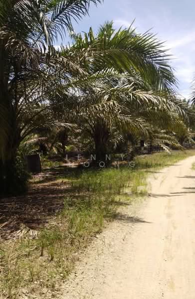 Agricultural Land for Sale in Matang (Perak) - Jenny Choong - Exterior - PropertyGuru.com.my