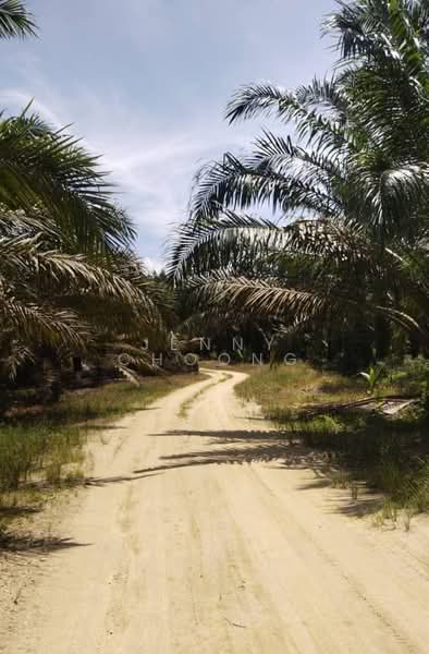 Agricultural Land for Sale in Matang (Perak) - Jenny Choong - Exterior - PropertyGuru.com.my