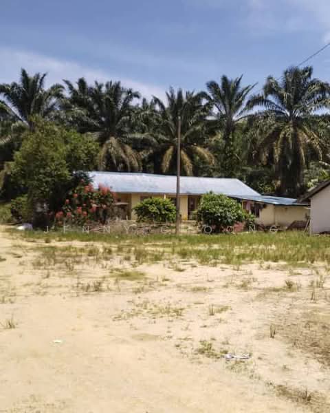 Agricultural Land for Sale in Matang (Perak) - Jenny Choong - Exterior - PropertyGuru.com.my