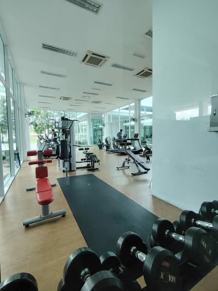 Condominium for Sale at Seringin Residences - Sally Wong - Gym - PropertyGuru.com.my