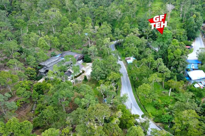 Agricultural Land for Sale in Mukim 2 Teluk Bahang (Penang) - Teh Guan Fong - Exterior - PropertyGuru.com.my