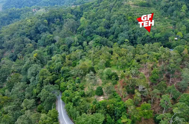 Agricultural Land for Sale in Mukim 2 Teluk Bahang (Penang) - Teh Guan Fong - Exterior - PropertyGuru.com.my