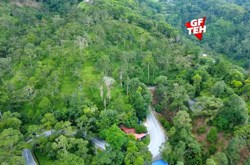 Agricultural Land for Sale in Mukim 2 Teluk Bahang (Penang) - Teh Guan Fong - Exterior - PropertyGuru.com.my