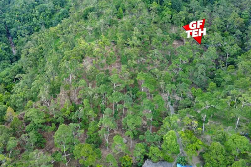 Agricultural Land for Sale in Mukim 2 Teluk Bahang (Penang) - Teh Guan Fong - Exterior - PropertyGuru.com.my
