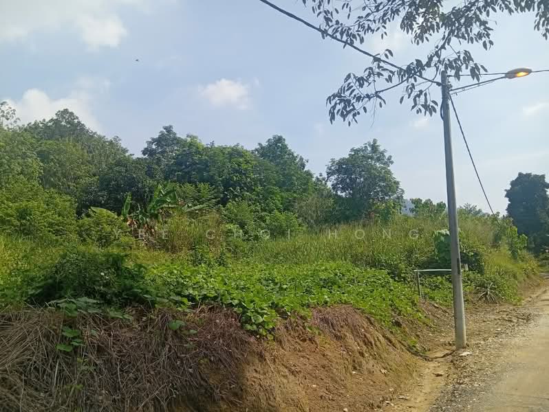 Tanah Pertanian untuk Dijual di Machang Bubok (Bukit Mertajam) - Yee Choi Hong - Exterior - PropertyGuru.com.my