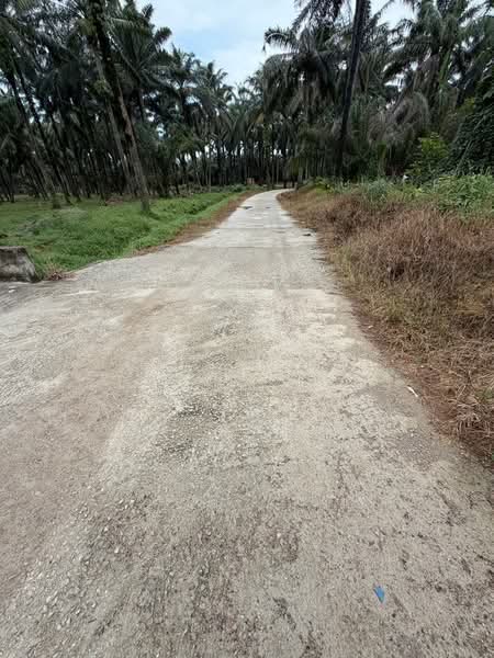 Other Property for Sale in Senai (Johor) - VK Chong - PropertyGuru.com.my