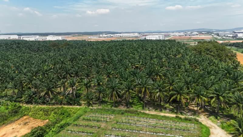Tanah Pertanian untuk Dijual di Kampung Baru Seelong (Senai) - Kelly Wai - Exterior - PropertyGuru.com.my