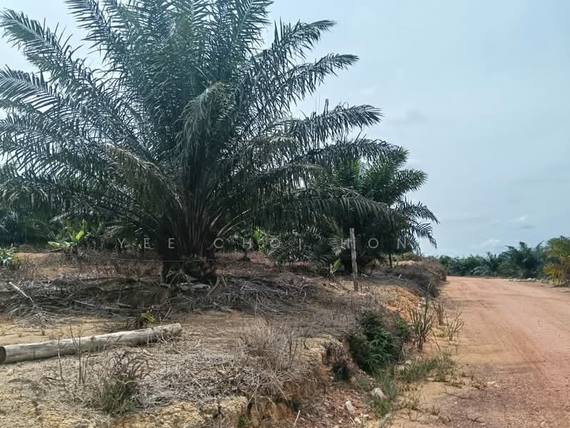 Agricultural Land for Sale in Mersing (Johor) - Yee Choi Hong - Exterior - PropertyGuru.com.my