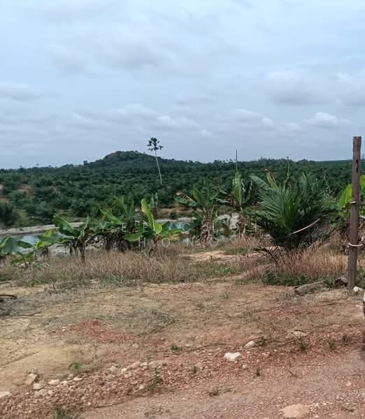 Agricultural Land for Sale in Mersing (Johor) - Yee Choi Hong - Exterior - PropertyGuru.com.my