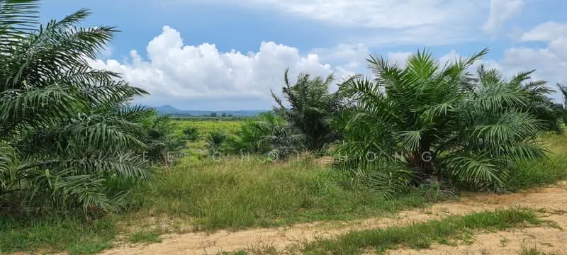Agricultural Land for Sale in Mersing (Johor) - Yee Choi Hong - Exterior - PropertyGuru.com.my