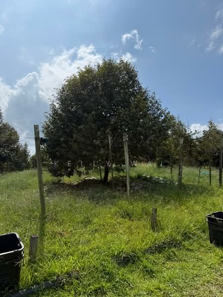 Agricultural Land for Sale in Kota Tinggi (Johor) - Kelly Wai - Exterior - PropertyGuru.com.my