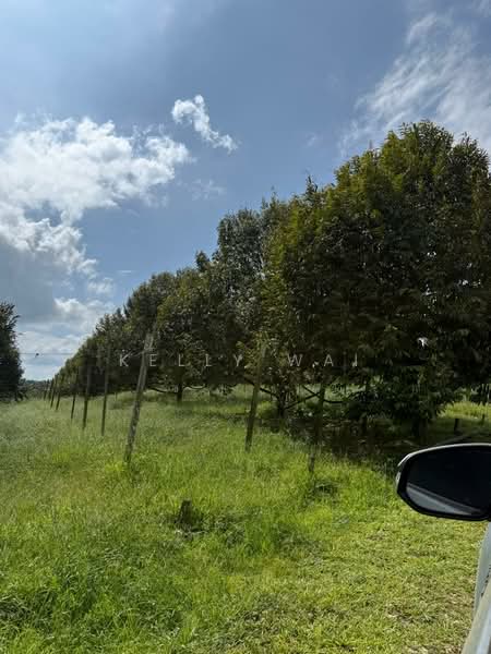 Agricultural Land for Sale in Kota Tinggi (Johor) - Kelly Wai - Exterior - PropertyGuru.com.my