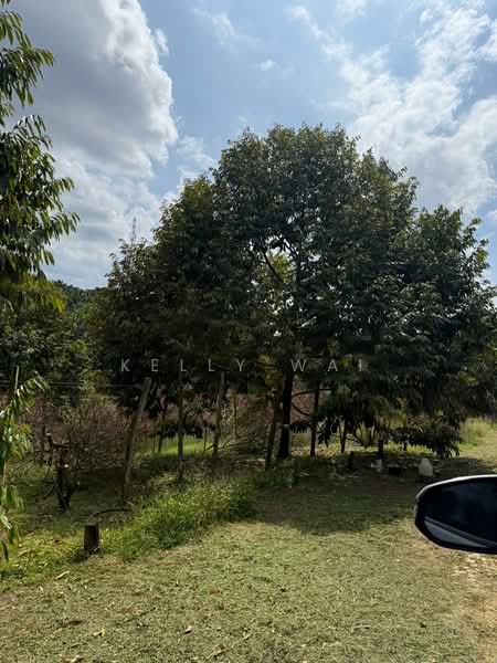 Agricultural Land for Sale in Kota Tinggi (Johor) - Kelly Wai - Exterior - PropertyGuru.com.my