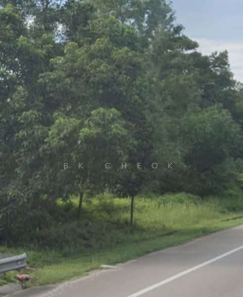 Agricultural Land for Sale in Tanjung Kupang (Iskandar Puteri (Nusajaya)) - BK Cheok - Exterior - PropertyGuru.com.my