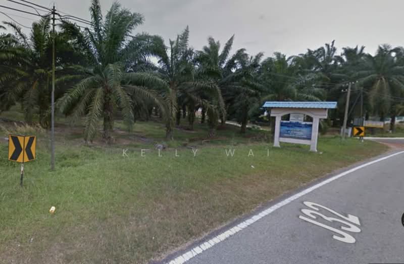 Agricultural Land for Sale in Pagoh (Johor) - Kelly Wai - Exterior - PropertyGuru.com.my