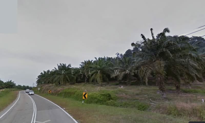 Agricultural Land for Sale in Pagoh (Johor) - Kelly Wai - Exterior - PropertyGuru.com.my
