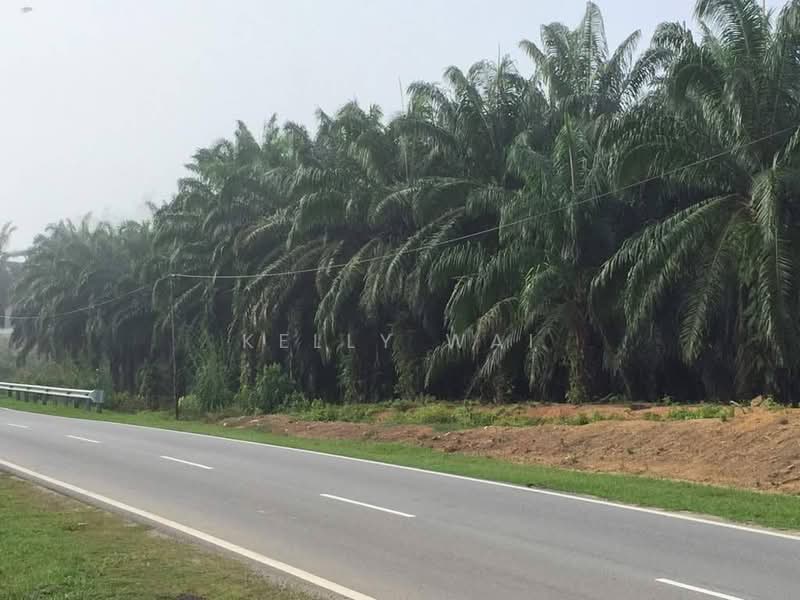 Tanah Pertanian untuk Dijual di Kuala Pilah (Negeri Sembilan) - Kelly Wai - PropertyGuru.com.my