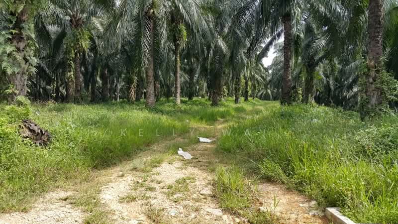 Tanah Pertanian untuk Dijual di Kuala Pilah (Negeri Sembilan) - Kelly Wai - Exterior - PropertyGuru.com.my