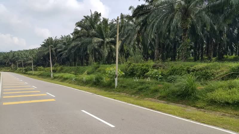 Tanah Pertanian untuk Dijual di Kuala Pilah (Negeri Sembilan) - Kelly Wai - Exterior - PropertyGuru.com.my
