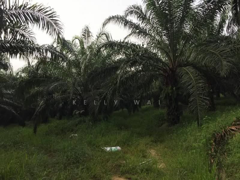 Tanah Pertanian untuk Dijual di Kuala Pilah (Negeri Sembilan) - Kelly Wai - Garden - PropertyGuru.com.my