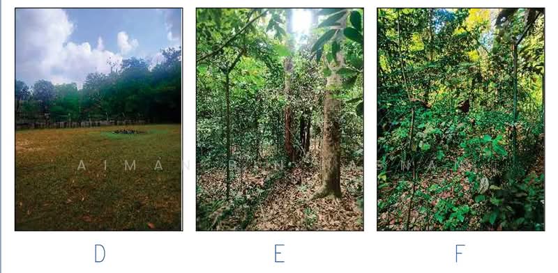 Agricultural Land for Sale in Semambu (Kuantan) - Aiman Bin Hasnan - Exterior - PropertyGuru.com.my