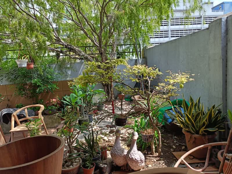 Rumah Teres 2 Tingkat untuk Disewa di Seksyen 22, Damansara Jaya (Petaling Jaya) - Alicia Lee - PropertyGuru.com.my