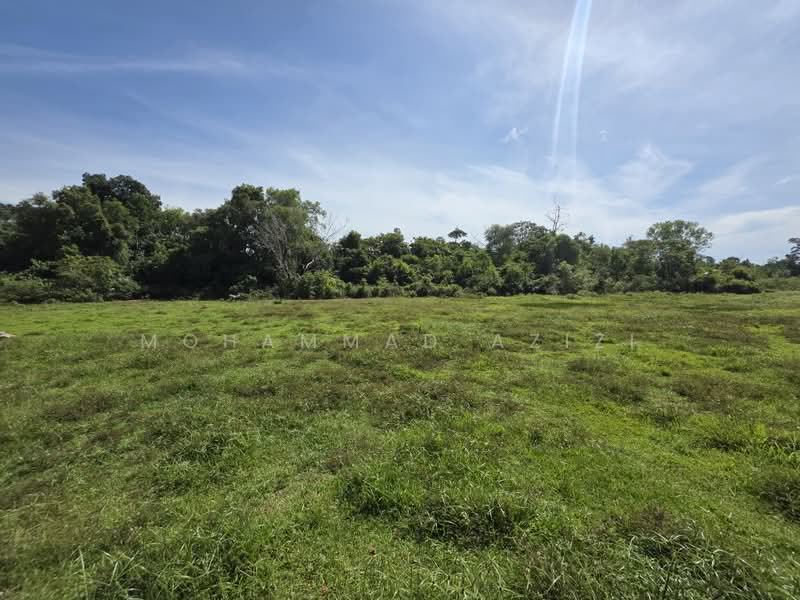 Agricultural Land for Sale in Kampong Pandan Satu (Kuantan) - Mohammad Azizi - PropertyGuru.com.my