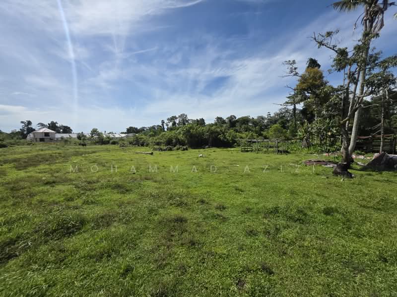 Agricultural Land for Sale in Kampong Pandan Satu (Kuantan) - Mohammad Azizi - PropertyGuru.com.my