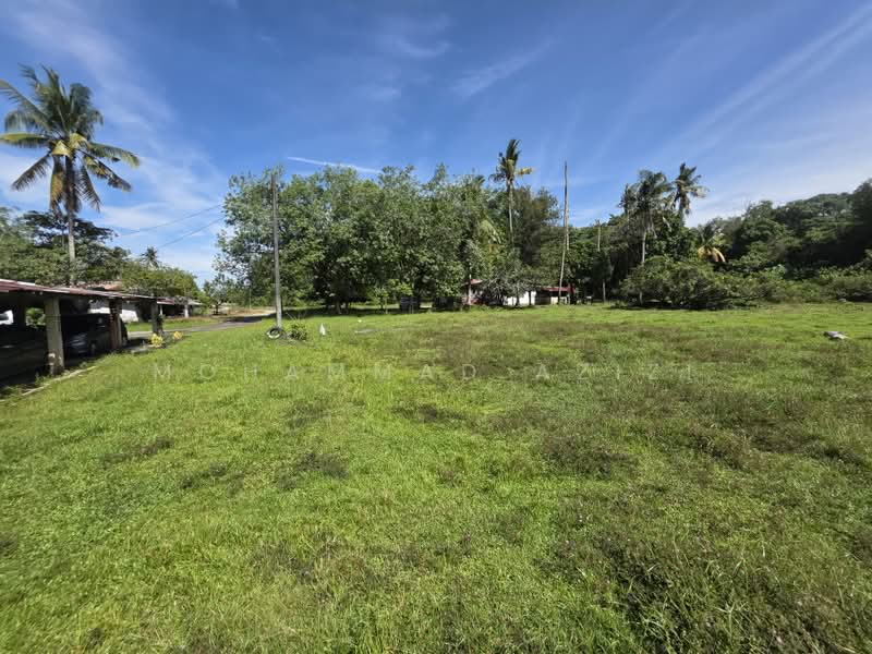 Agricultural Land for Sale in Kampong Pandan Satu (Kuantan) - Mohammad Azizi - PropertyGuru.com.my
