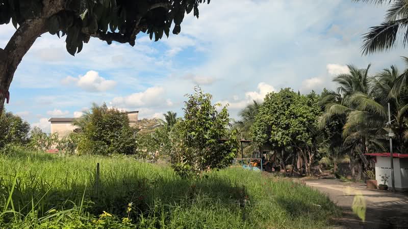 Tanah Pertanian untuk Dijual di Kota Tinggi (Johor) - Serene Teh - PropertyGuru.com.my