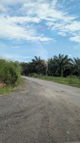Tanah Pertanian untuk Dijual di Kota Tinggi (Johor) - Serene Teh - PropertyGuru.com.my