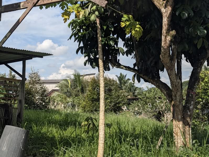 Tanah Pertanian untuk Dijual di Kota Tinggi (Johor) - Serene Teh - PropertyGuru.com.my