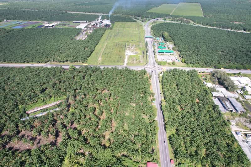 Tanah Pertanian untuk Dijual di Kamunting (Perak) - David Wong - Exterior - PropertyGuru.com.my