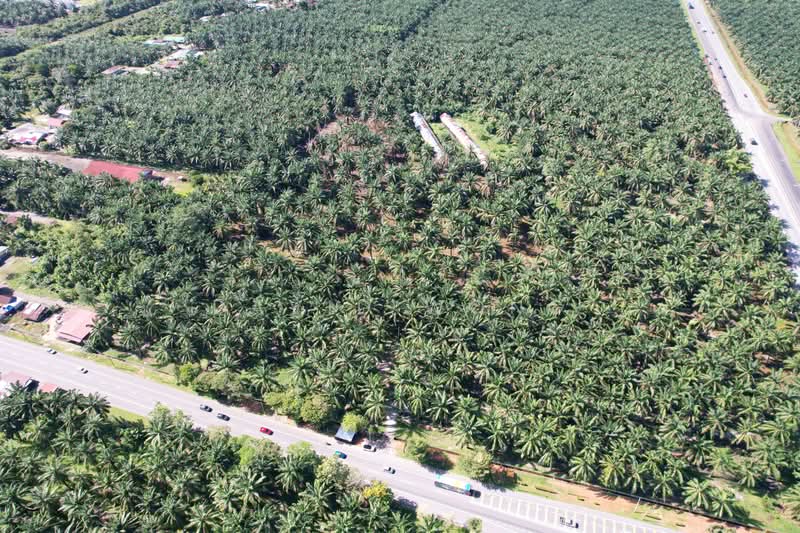 Tanah Pertanian untuk Dijual di Kamunting (Perak) - David Wong - PropertyGuru.com.my