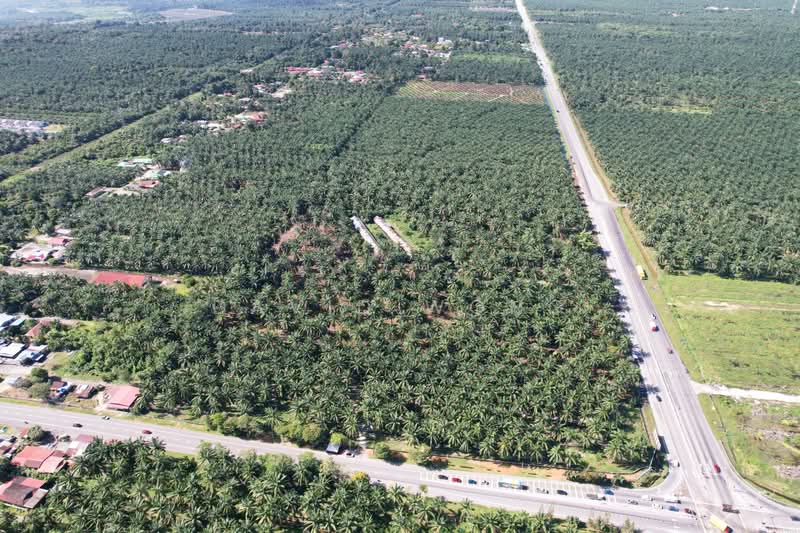 Tanah Pertanian untuk Dijual di Kamunting (Perak) - David Wong - Exterior - PropertyGuru.com.my