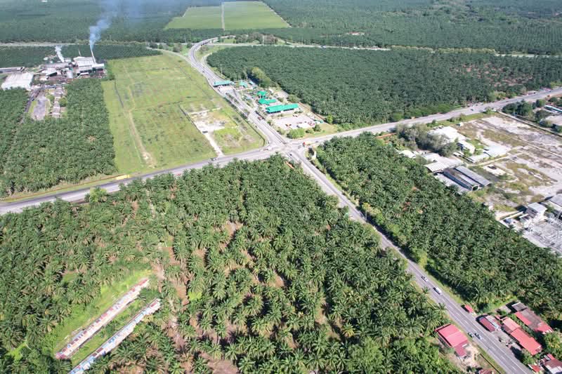 Tanah Pertanian untuk Dijual di Kamunting (Perak) - David Wong - PropertyGuru.com.my