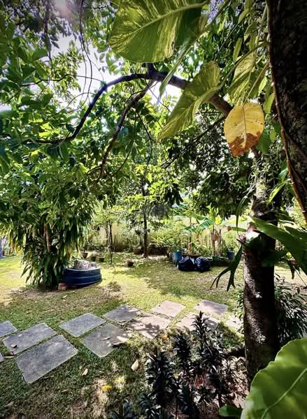 Rumah Banglo untuk Dijual di Pulau Tikus (Penang) - Sammi SC - Garden - PropertyGuru.com.my