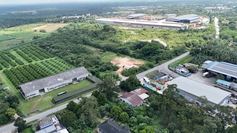 Tanah Pertanian untuk Dijual di Pekan Nanas (Johor) - Pauline Goh - PropertyGuru.com.my