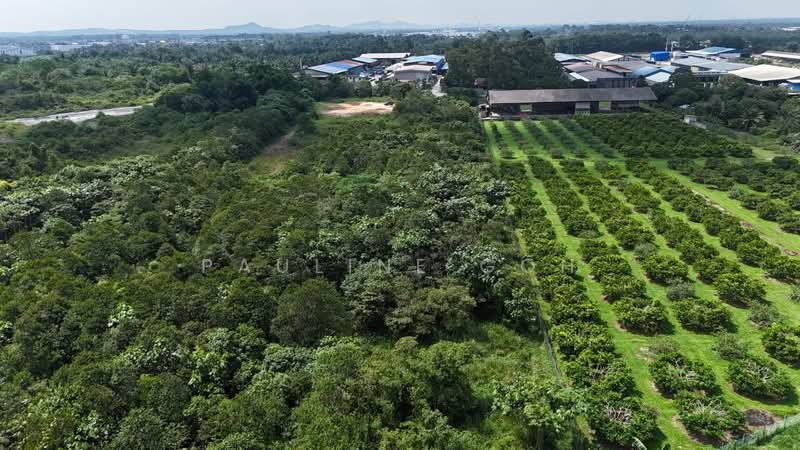 Tanah Pertanian untuk Dijual di Pekan Nanas (Johor) - Pauline Goh - PropertyGuru.com.my