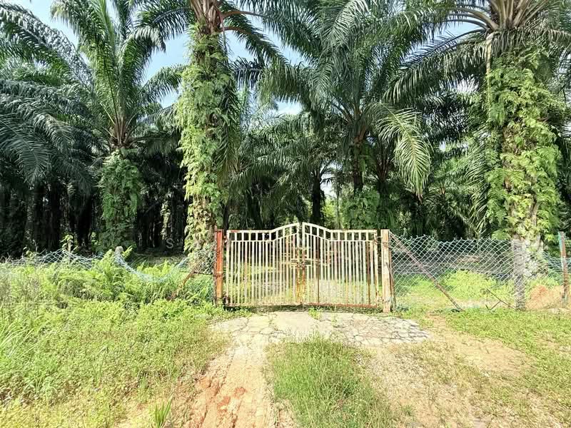 Agricultural Land for Sale in Antara Gapi (Ulu Yam) - Sam Jamal - Exterior - PropertyGuru.com.my